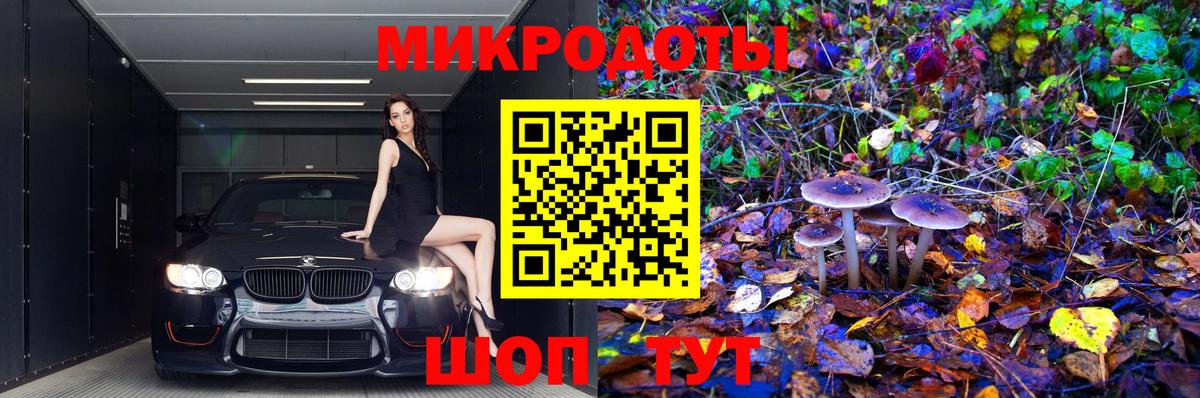 Псилоцибиновые грибы Psilocybine cubensis Крымск