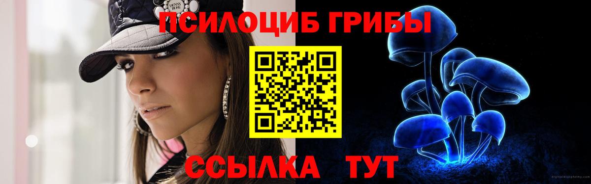 Крымск  Галлюциногенные грибы Cubensis  Вход с VPN 